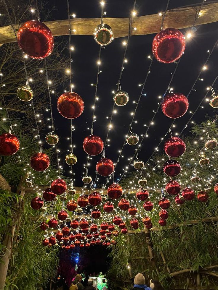 Christmas Event Decoration